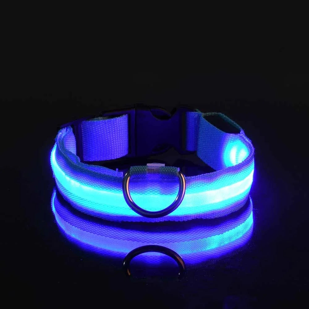 LED Dog Collar: Nighttime Visibility and Safety
