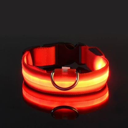 LED Dog Collar: Nighttime Visibility and Safety