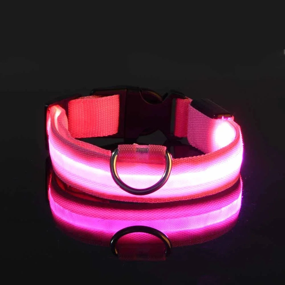 LED Dog Collar: Nighttime Visibility and Safety