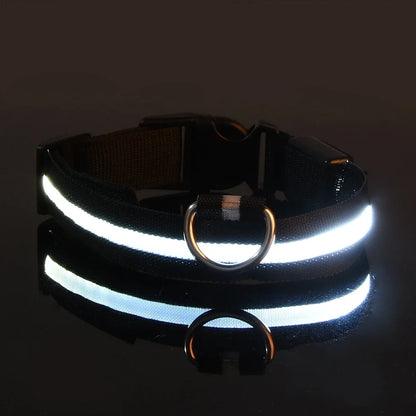 LED Dog Collar: Nighttime Visibility and Safety