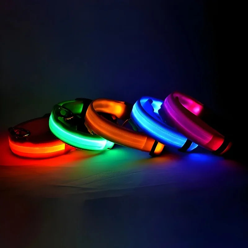 LED Dog Collar: Nighttime Visibility and Safety