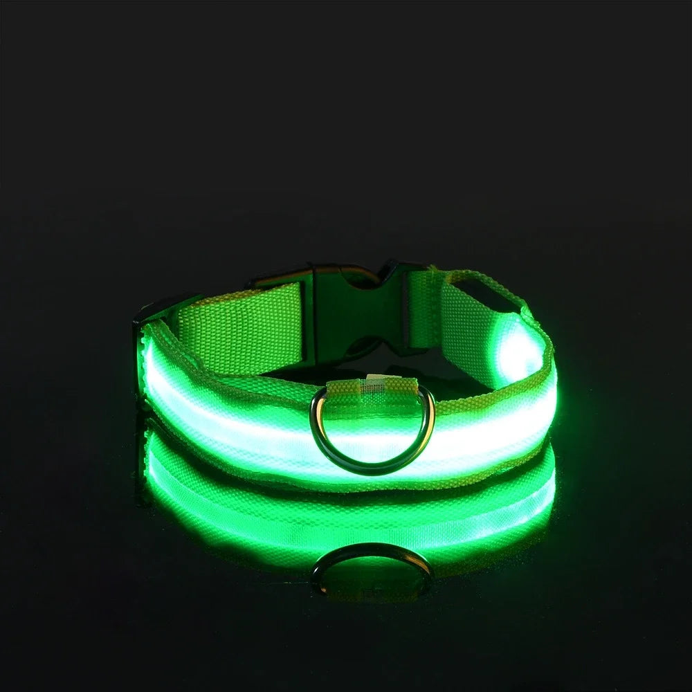 LED Dog Collar: Nighttime Visibility and Safety