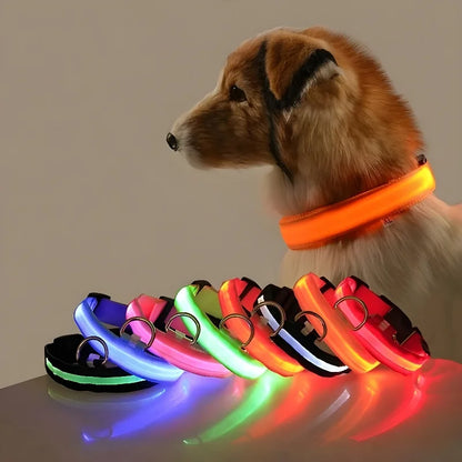 LED Dog Collar: Nighttime Visibility and Safety