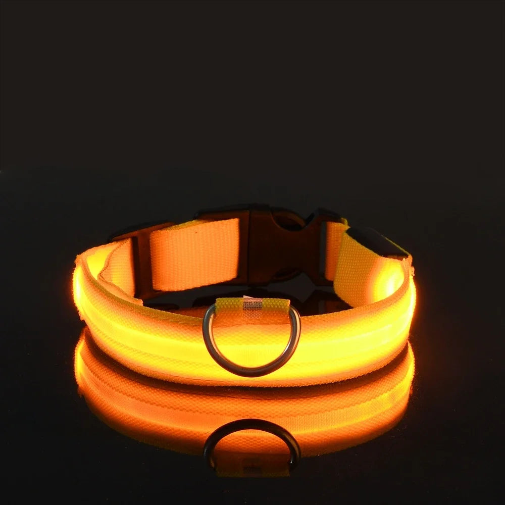 LED Dog Collar: Nighttime Visibility and Safety