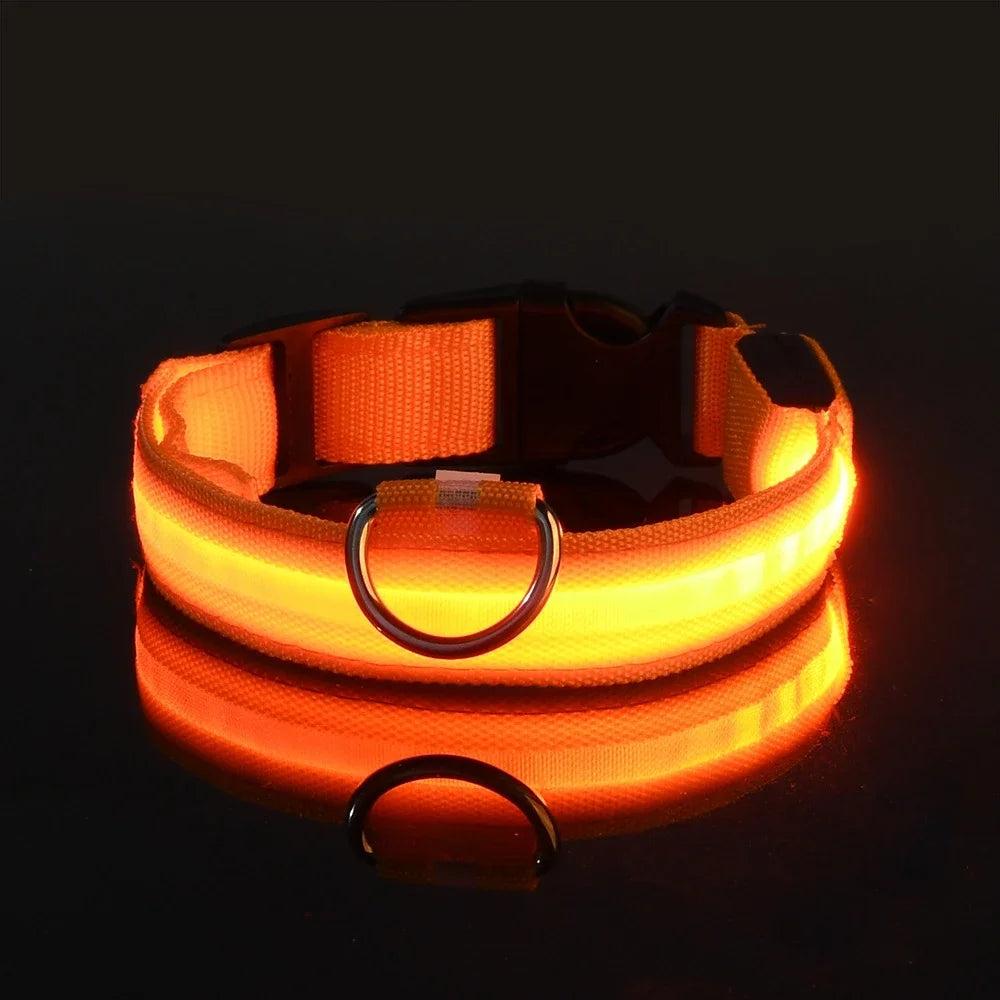 LED Dog Collar: Nighttime Visibility and Safety