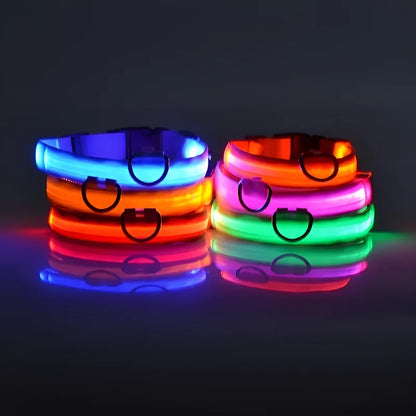 LED Dog Collar: Nighttime Visibility and Safety
