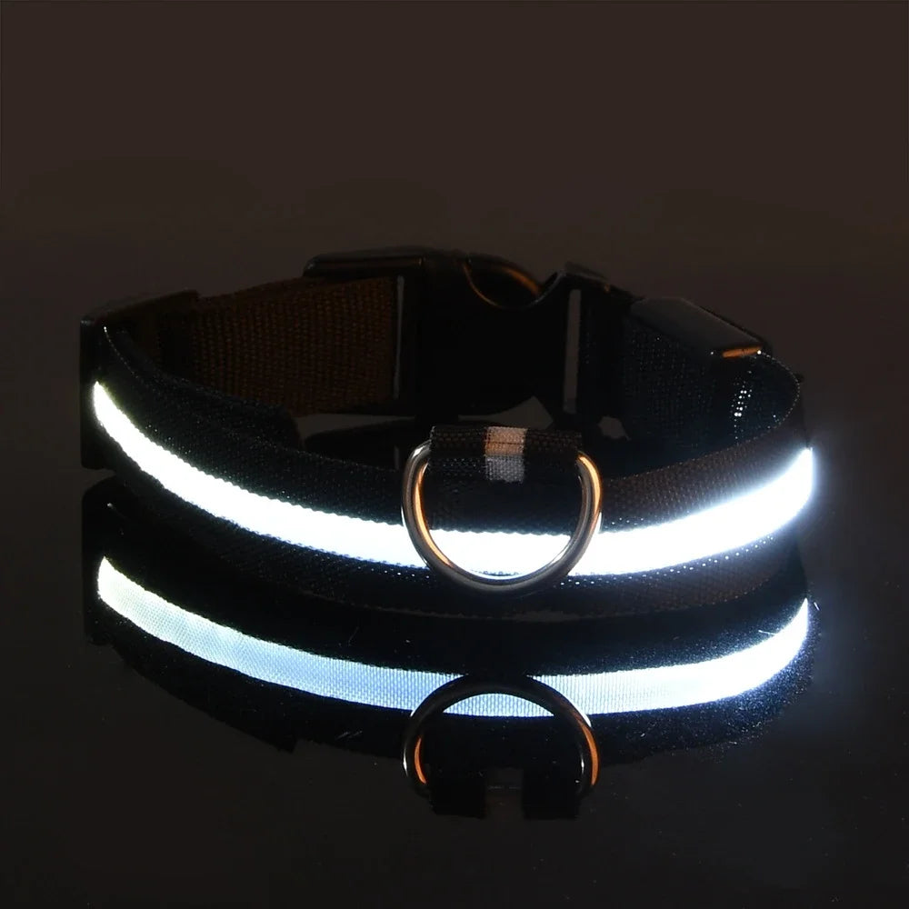 LED Dog Collar: Nighttime Visibility and Safety